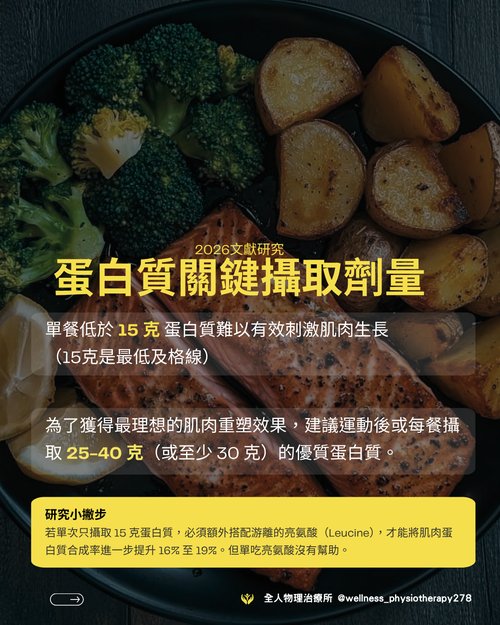 蛋白質關鍵攝取劑量